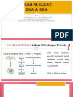 02 Asam Nukleat - Dna & Rna