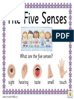 The Five Senses (1).pdf