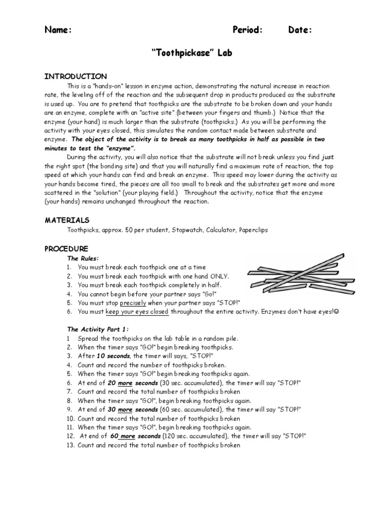 Toothpickase lab an introduction to enzymes answers