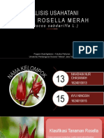 Analisis Biaya Usahatani Rosella