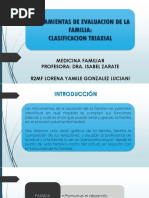 Modelo Calgary de Valoración Familiar | PDF | Enfermería | Comunicación