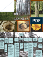 Defects of wood