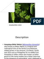 Ampalaya (Bitter Melon)
