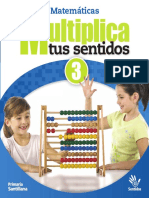 Matematicas 3 Multiplica Tus Sentidos PDF