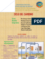 Ciclo Del Carbono2