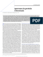 Molecular Chaperones in Protein Folding