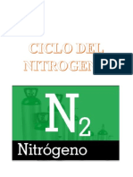 Ciclo Del Nitrogeno