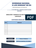 Malla Curricular - Dirección y Gerencia de Instituciones Judiciales