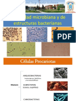 2 Diversidad de Estructuras Bacterianas