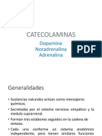 CATECOLAMINAS Dopamina, Noradrenalina, Adrenalina