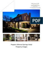 2018 Mineral Springs Hotel - Property Images
