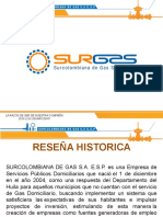 Surgas s.a e.s.p