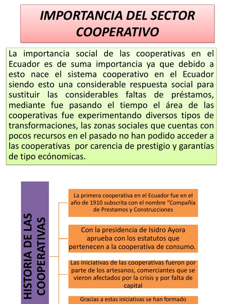 Importancia Del Sector Cooperativo PDF Cooperativa Ecuador