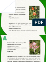 Herbario Plantas Chilenas