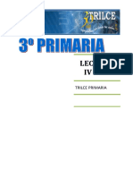 Lectura Iv Bim