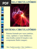 Sistema Circulatório