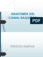 CANAL RAQUIDEO.ppt