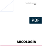 Cuadros Microbiología. CTDR.pdf