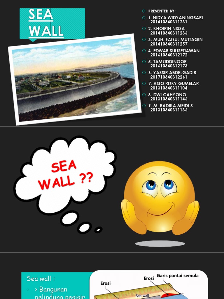 Seawall Design and Functions Overview | PDF