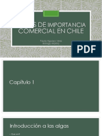 Algas de Importancia Comercial en Chile