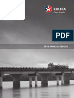 2013 Annual Report