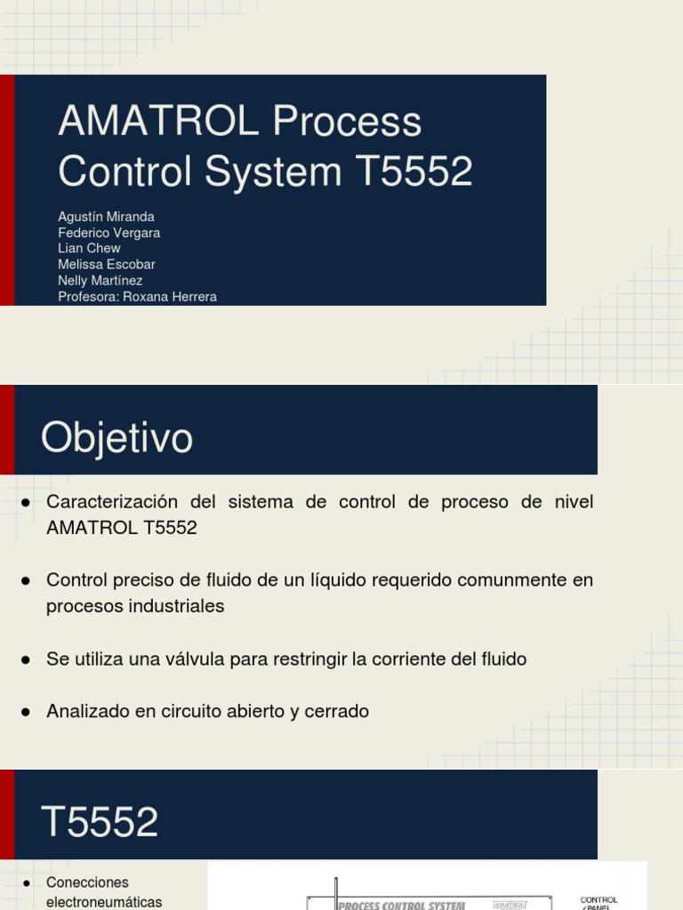 Level Flow | PDF