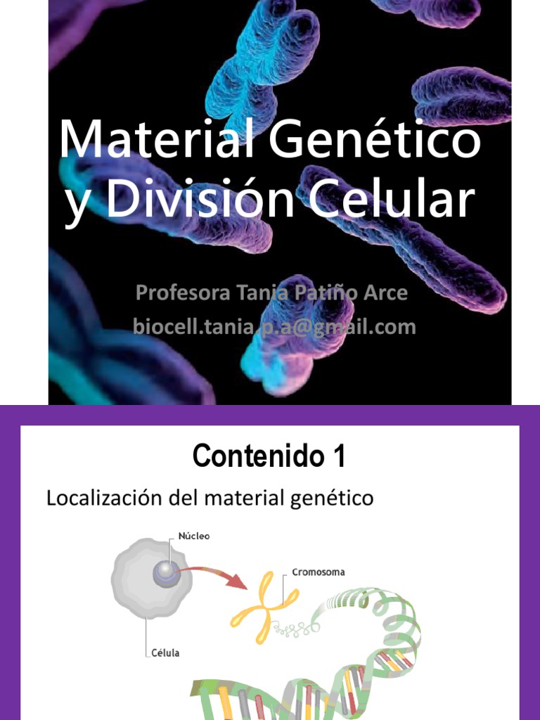 Que Es El Material De La Celula Material Colección