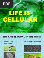 Life Is: Cellular