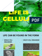 Life Is: Cellular