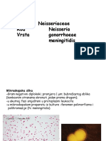 Porodica Neisseriaceae II.ppt