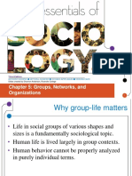 Chapter 5: Groups, Networks, and Organizations: Third Edition