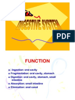 Digestive System Phki (Compatibility Mode)