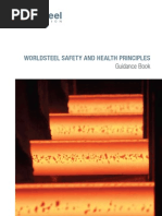 Safety and Health English