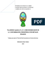 Documento Tillandsias Capillaris R y P