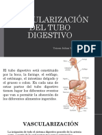 Vascularización Del Tubo Digestivo. Biologia