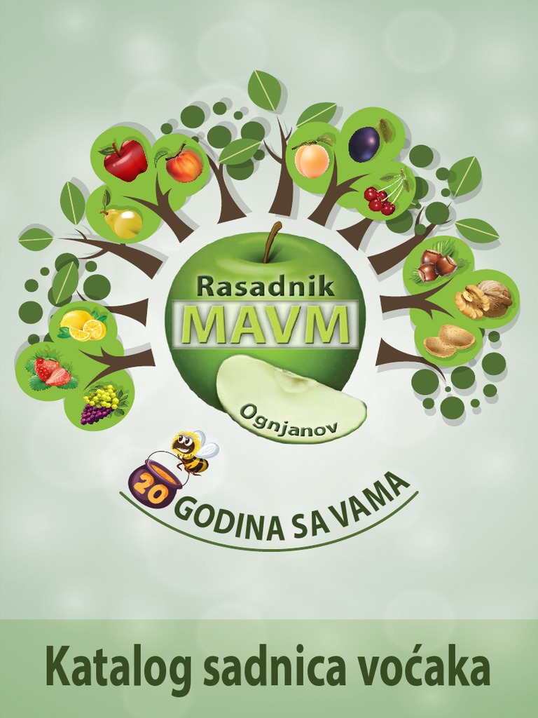 MAVM Katalog | PDF