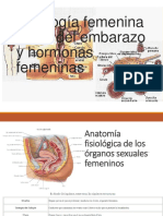 Fisiología Femenina Antes Del Embarazo y Hormonas Femeninas