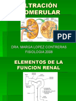 6682206-FiltraciOn-Glomerular.ppt