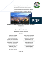Grupo N 01 Exposiciòn N 01 Diagnóstico Ambiental de La Ciudad de Tingo Marìa y La Uniòn MyCC X 11-05-2018