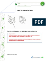 Articles-22938 Recurso Pauta PDF