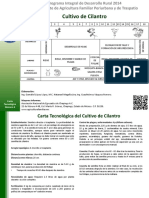 CILANTRO.pdf