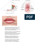 Tarea de Lengaje