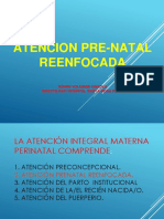 APN REENFOCADA 1.pptx