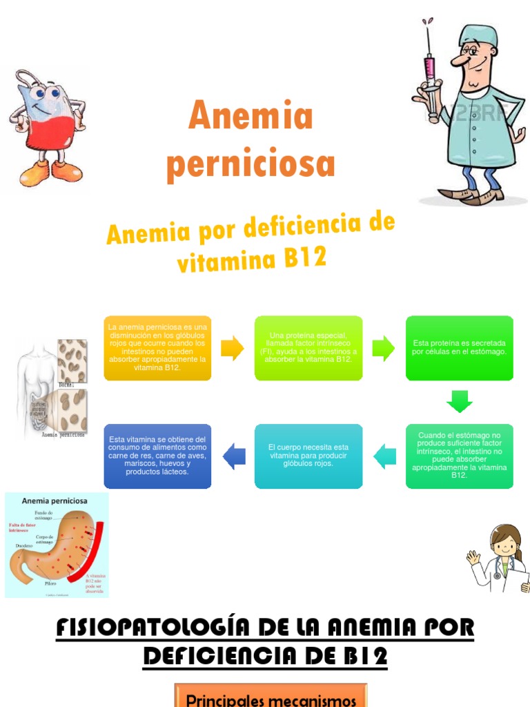 Anemia Perniciosa | Vitamina B12 | Anemia