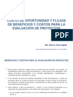 Beneficios y Costos Pata La Evaluación de Proyectos