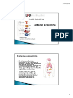 Sistema Endocrino