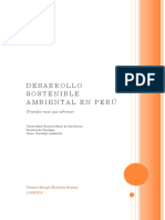 Desarrollo Sostenible Ambiental en Perú