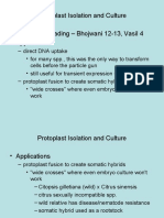 Protoplast Isolation and Culture - Suggested Reading - Bhojwani 12-13, Vasil 4 - Applications