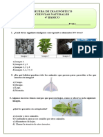 4º Cienc. Diag.