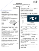 Prueba de Sistema Nervioso 2do Medio